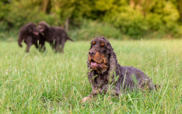 RudelZeit - der andere Freilauf